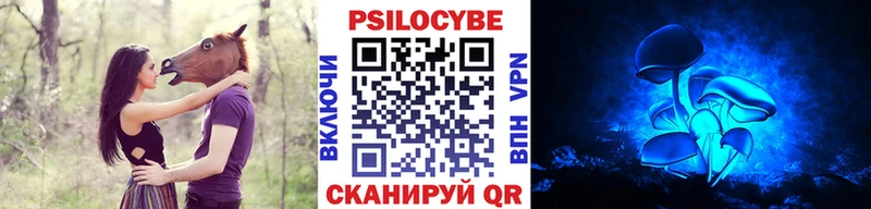 shop клад  Брянск  Псилоцибиновые грибы Psilocybine cubensis 