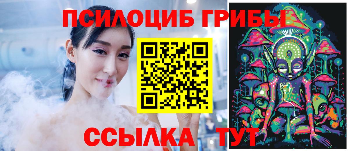 Псилоцибиновые грибы мухоморы Брянск