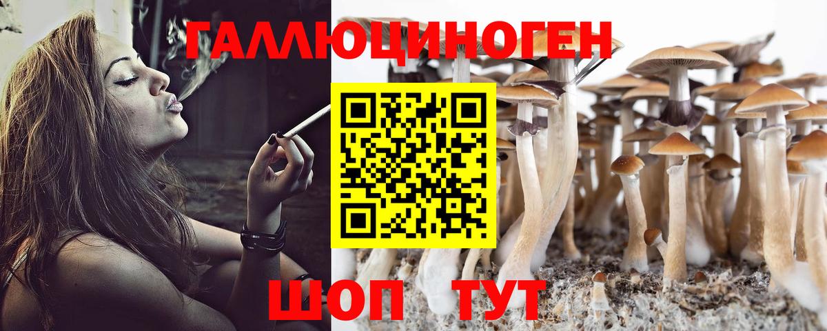 Брянск  Галлюциногенные грибы Magic Shrooms  Псилоцибиновые грибы Cubensis  Вход с VPN 